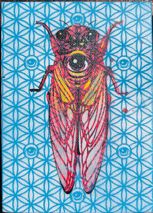 Sacred CicEYEdas Blue/Red/Yellow