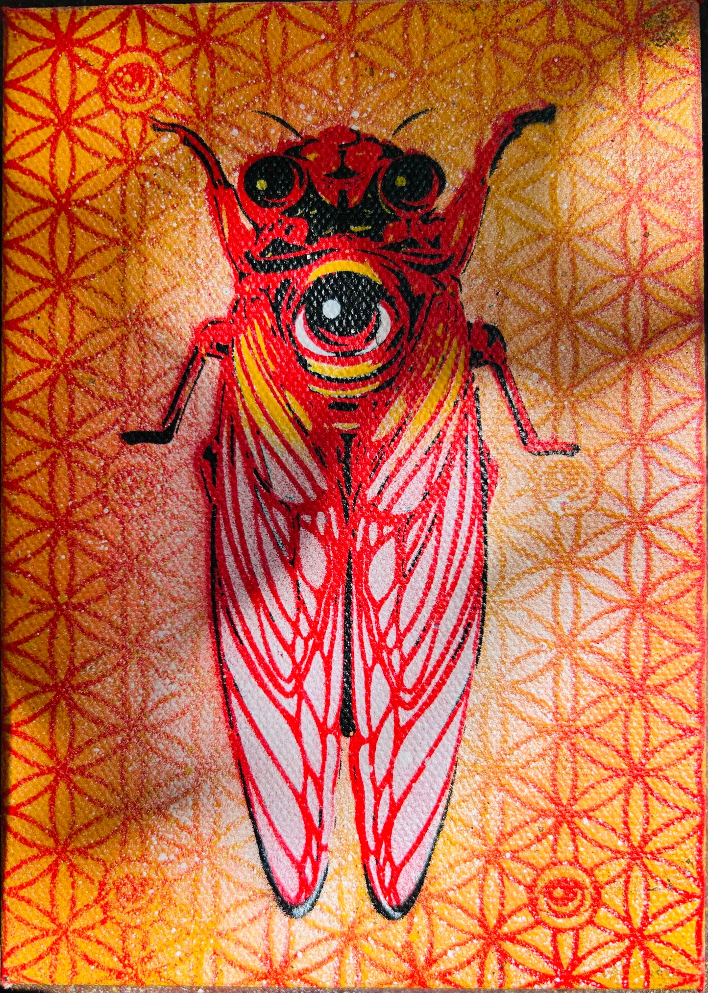 Sacred CicEYEdas Red